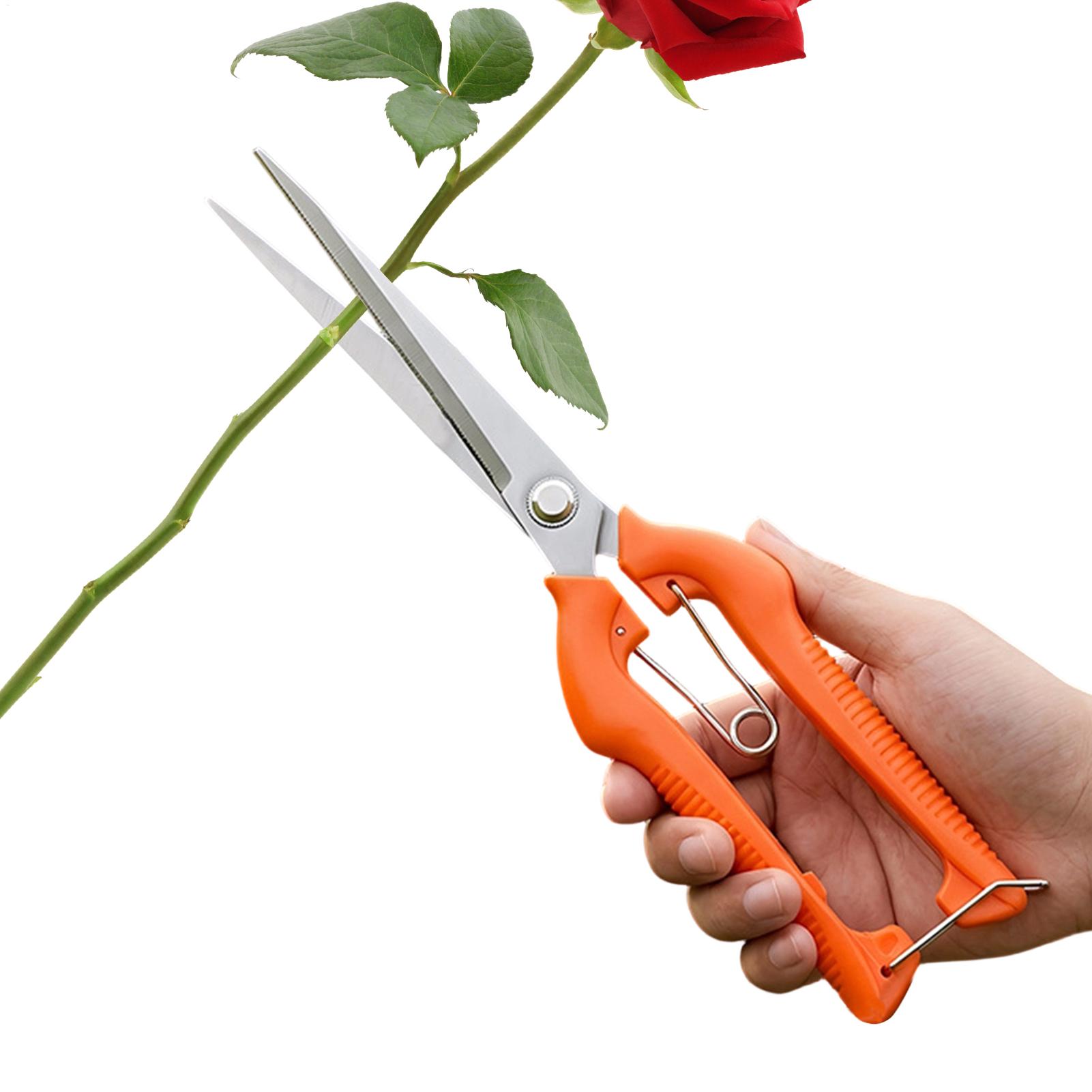 Gardening Tools For Beginners - Новые профессиональные садовые ножницы для обрезки