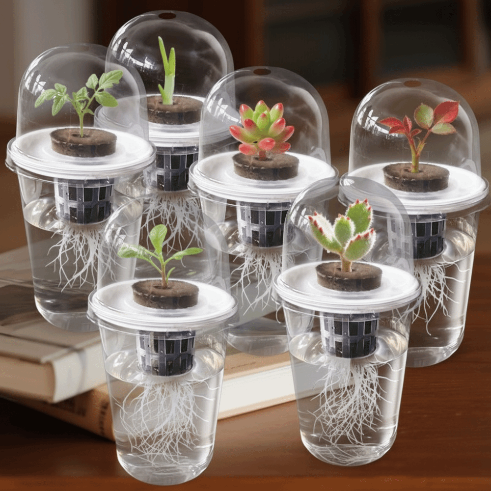 Seed Starter Trays - 1-5 шт. Прозрачные многоразовые гидропонные стаканчики