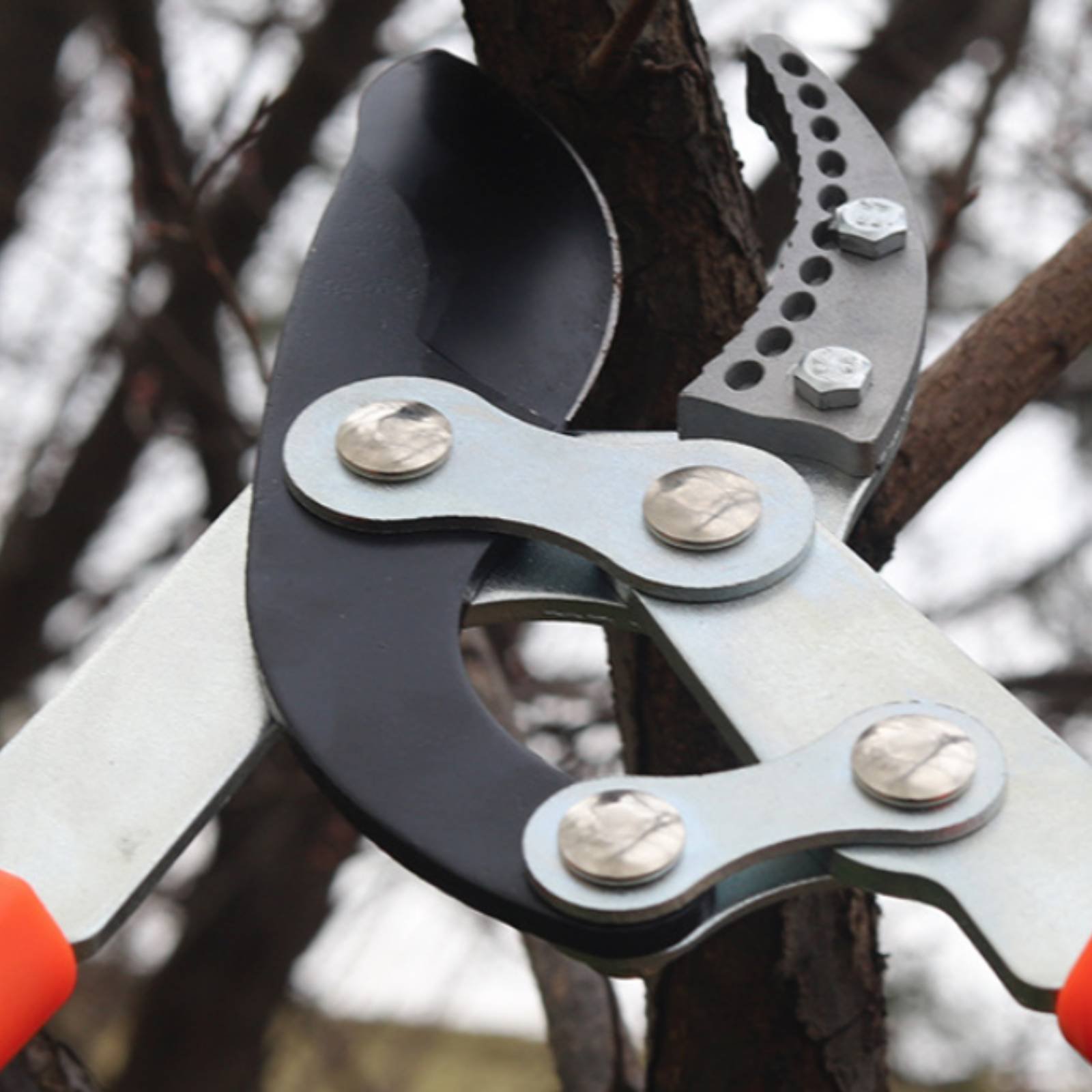 Gardening Tools In - Телескопические секаторы для веток с острым