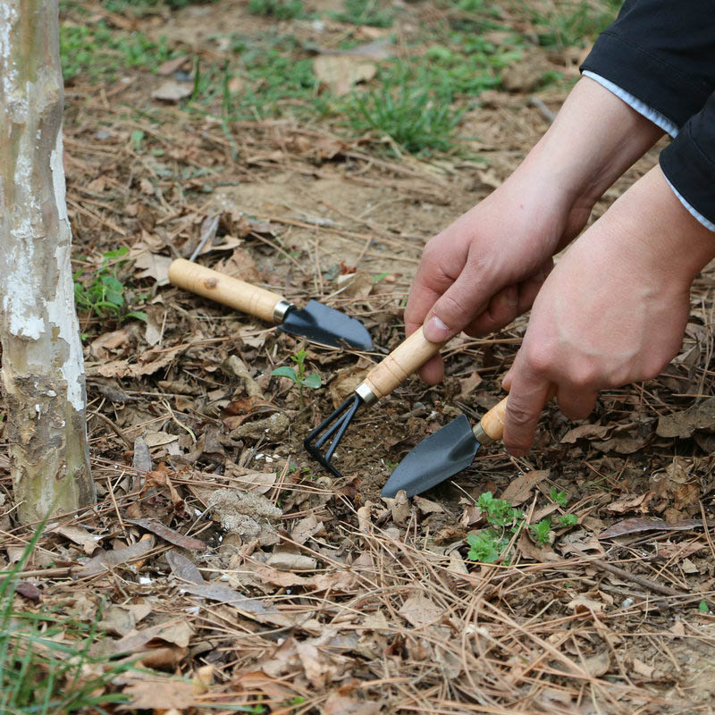3 шт./компл. мини-набор садовы – обзор и цена Gardening Tools For Weeds