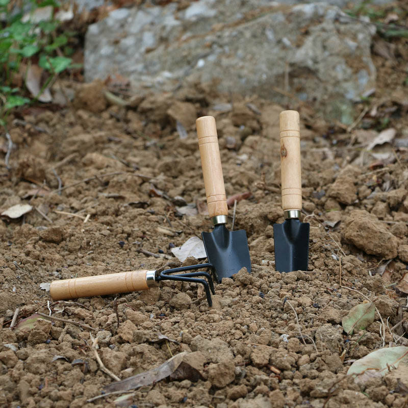 3 шт./компл. мини-набор садовы – обзор и цена Gardening Tools For Weeds
