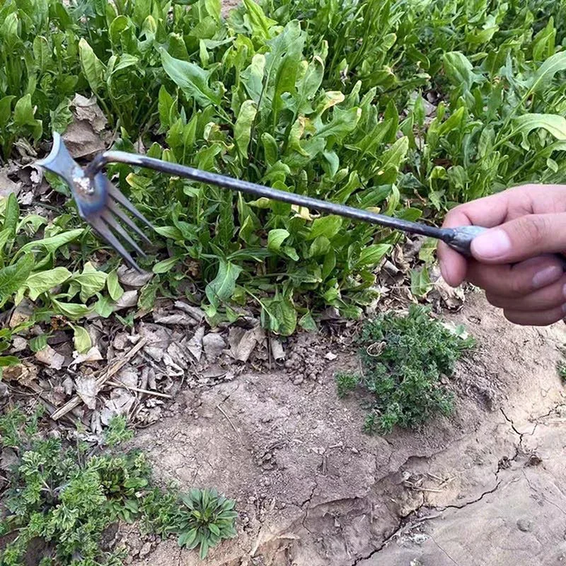 Садовый ручной прополочный инс – обзор и цена Gardening Tools For Weeds