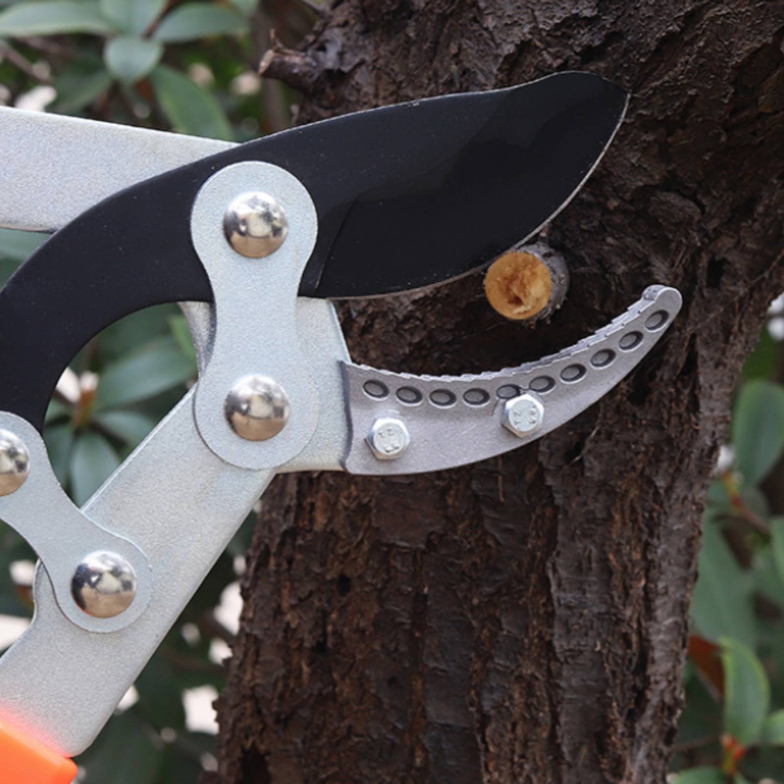 Телескопические секаторы для в – обзор и цена Gardening Tools In