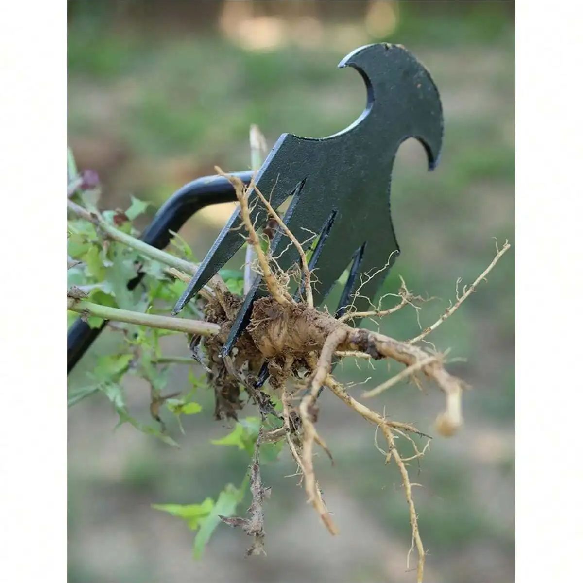 4-зубчатый - Многофункциональн – обзор и цена Gardening Tools For Weeds