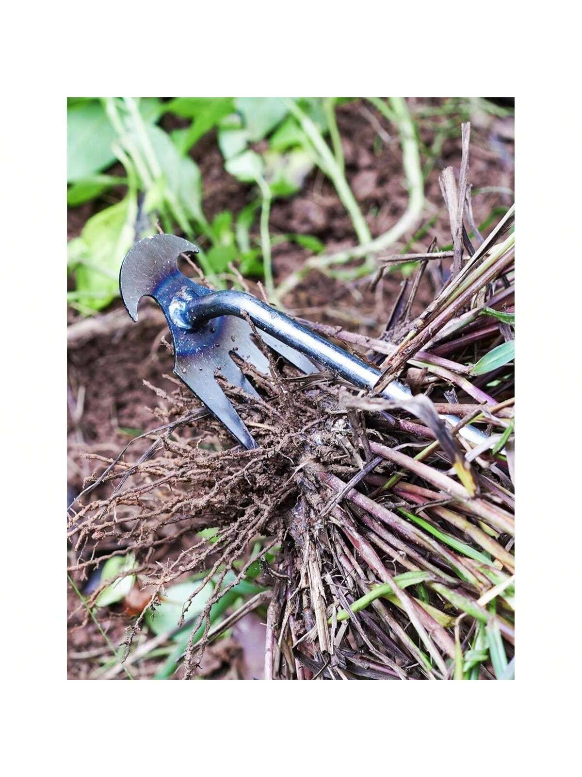 4-зубчатый - Многофункциональн – обзор и цена Gardening Tools For Weeds