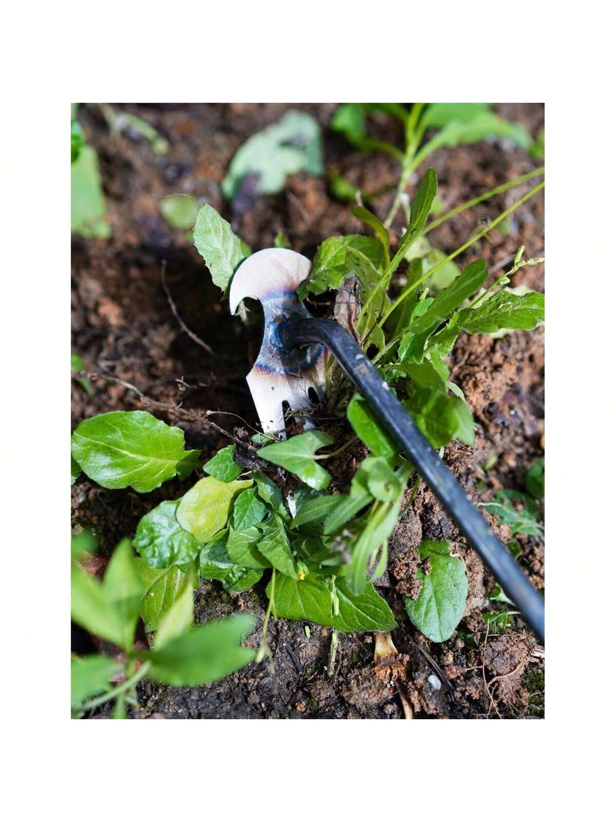 4-зубчатый - Многофункциональн – обзор и цена Gardening Tools For Weeds